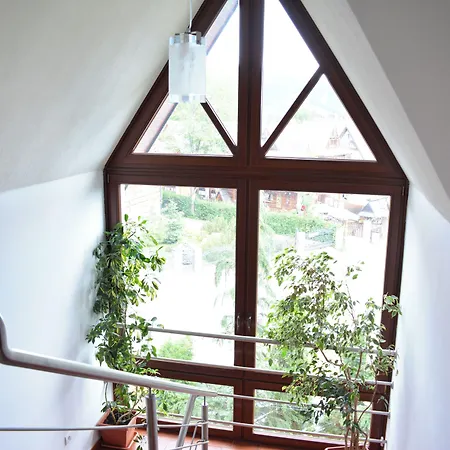 Halka Zakopane